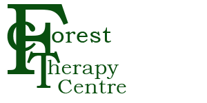 forest therapy centre